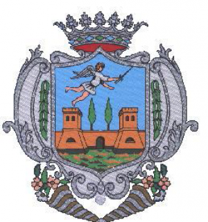 info_stemma